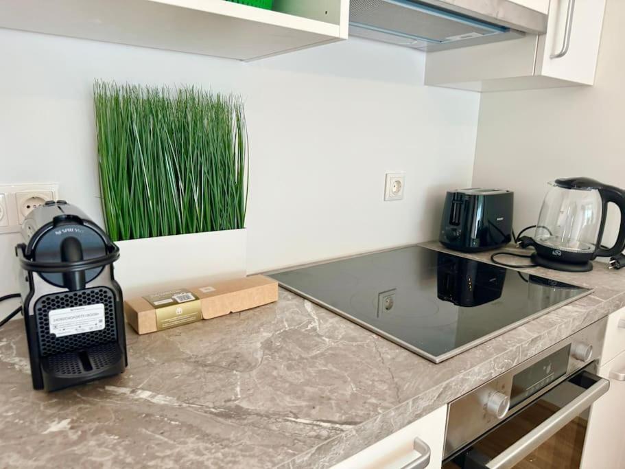 Rooftop Apartment With Balcony & Free Parking فيينا المظهر الخارجي الصورة